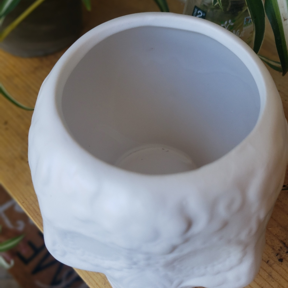 White skull planter - Picture 5 of 5